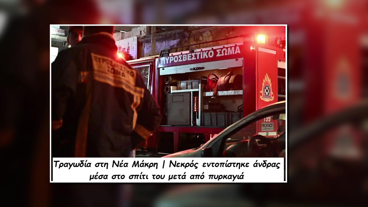 Φωτογραφία αρχείου